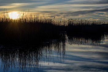 Camargue Immersion - image gratuit #457533